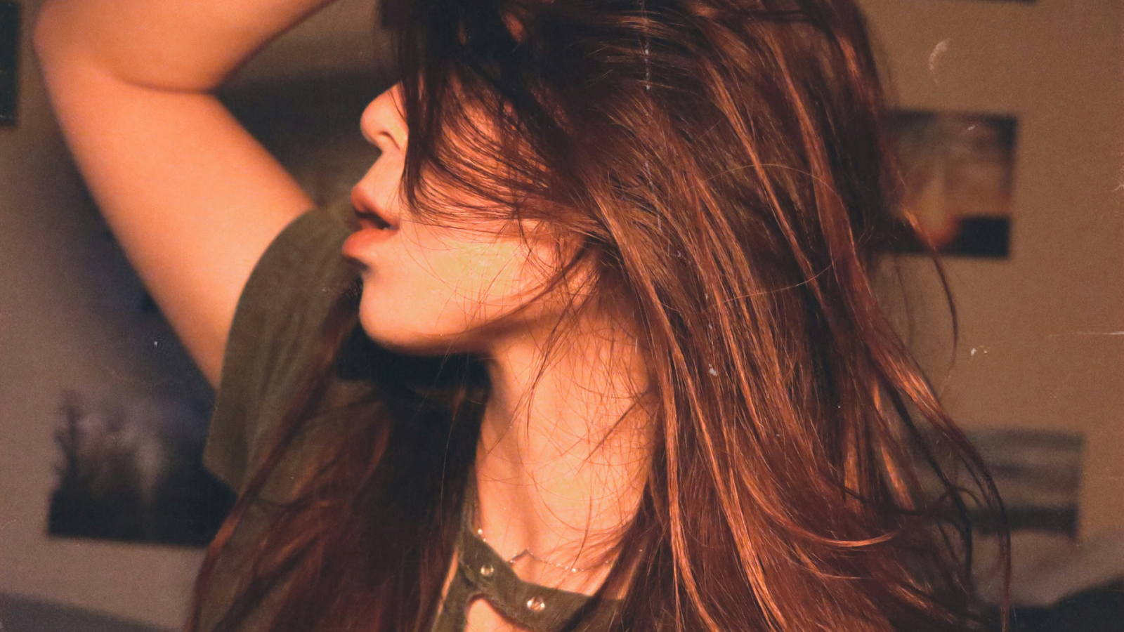 Woman Posing With Shiny Brown Hair